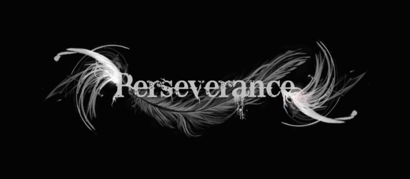 Perseverance