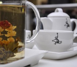 Tea monkey featured 1