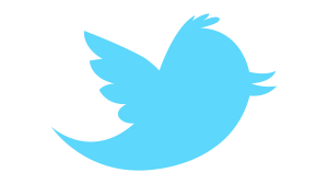 twitter logo 300x168 The Most Awaited IPO After Facebook $FB
