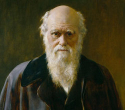 “It is not the strongest or the most intelligent who will survive but those who can best manage change”