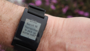 pebble watch 300x170 We Are Gonna Live On The Internet