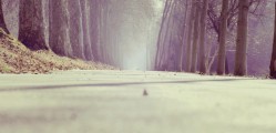 road