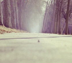 road