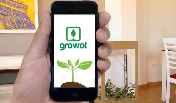 growot-app