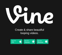 vine
