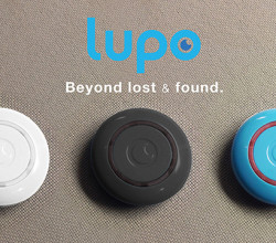 lupo