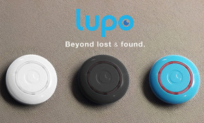 lupo
