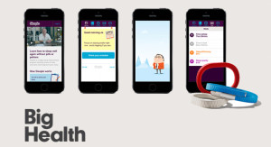 big health 300x163 The Europas Awards Winners 2014